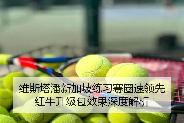 维斯塔潘新加坡练习赛圈速领先 红牛升级包效果深度解析