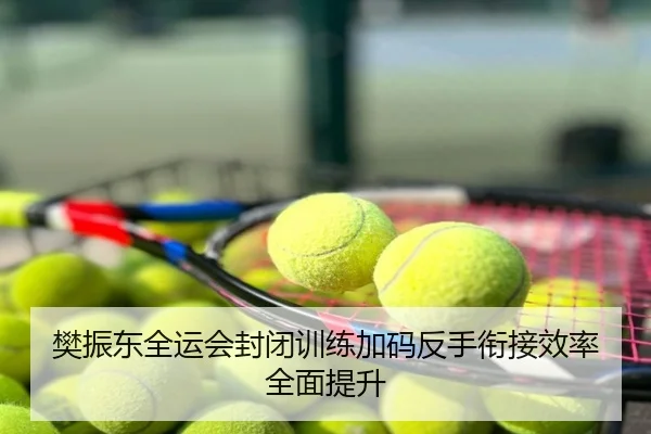 樊振东全运会封闭训练加码反手衔接效率全面提升